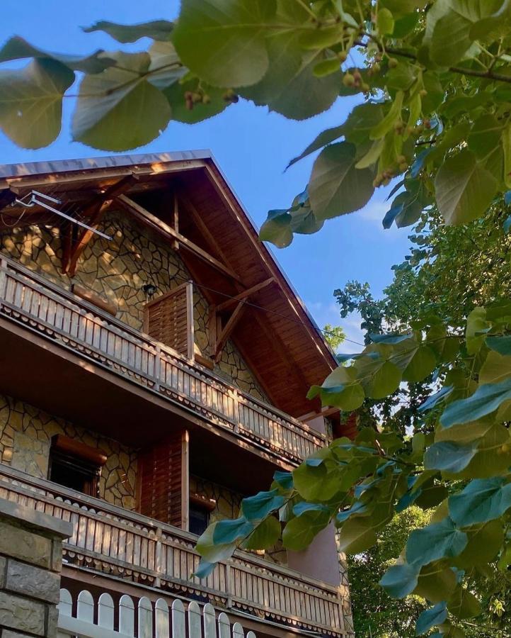 Konaci Nikola Banja Vrujci Hotel Gornja Toplica Ngoại thất bức ảnh